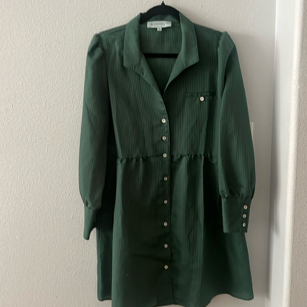 Tuckernuck Forest Green Button-Down Dress